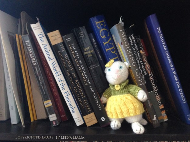 Knitted kitty on a bookshelf