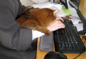 writing with rolli 2